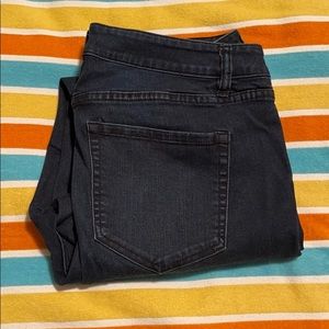 EUC Venezia (Lane Bryant) Dark Skinny Jeans 14